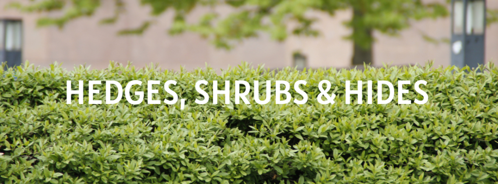 Hedges Shrubs & Hides